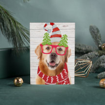 Óculos de Natal do Golden Retriever Chapéu Cacheco