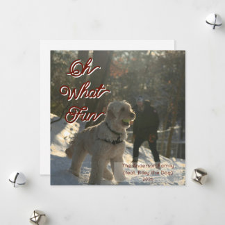 Cartão De Festividades Oh Que Diversão Cachorro Foto Completa