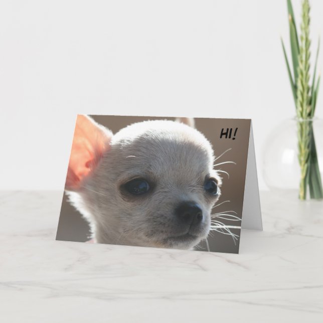 CARTÃO DE FESTIVIDADES OLÁ!! (Frente)