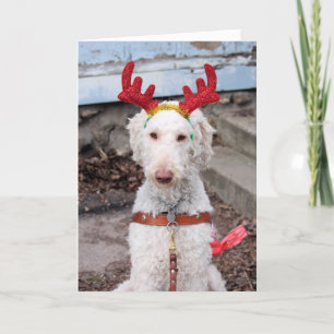 Cartão De Festividades Ollie de Natal
