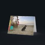 Cartão De Festividades Ondas da praia do cão do laboratório do chocolate<br><div class="desc">Eu chamo este cartão "Moses levanto". Eu encontrei Moses em meu escritório dos veterinários e era apenas tão considerável e estava implorando para estar em uma de minhas fotos do papai noel. Assim os suportes de Moses guardam na barraca da praia do papai noel, quando o papai noel bater as...</div>
