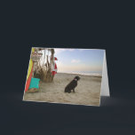 Cartão De Festividades Ondas da praia do cão do laboratório do chocolate<br><div class="desc">Eu chamo este cartão "Moses levanto". Eu encontrei Moses em meu escritório dos veterinários e era apenas tão considerável e estava implorando para estar em uma de minhas fotos do papai noel. Assim os suportes de Moses guardam na barraca da praia do papai noel, quando o papai noel bater as...</div>