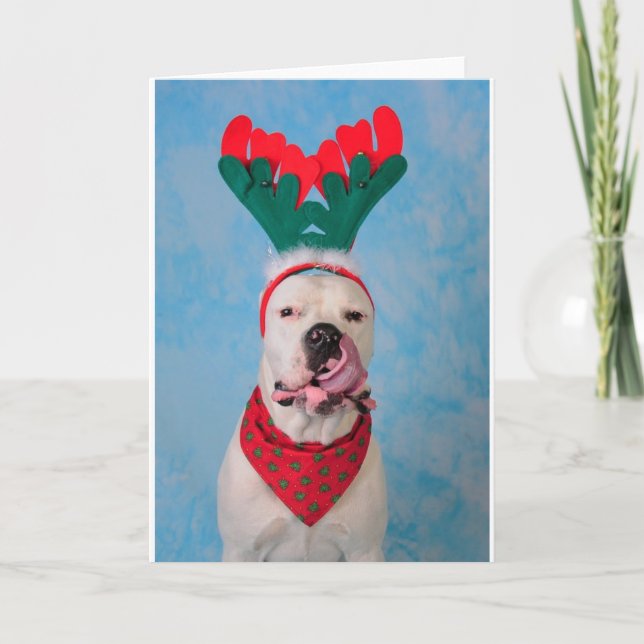 Cartão De Festividades Onde está minha gemada? (Frente)