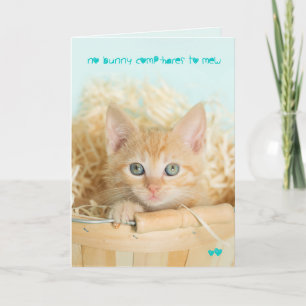 Cartão De Festividades Orange Kitten Easter Cute card