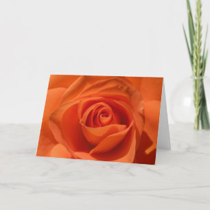 Cartão De Festividades Orange Rose Valentine Card