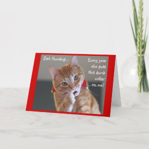 Cartão De Festividades Orange Tabby Cat Wearing Jingle Bells