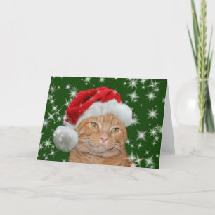 Cartão De Festividades Orange tabby Santa