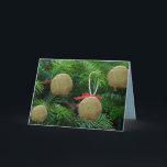 Cartão De Festividades Ornamento da bola do Matzoh na árvore de Natal -<br><div class="desc">Bolas na árvore de Natal - cartões do Matzoh de cartões de natal engraçados - riso,  humor,  engraçado</div>