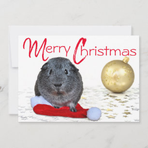 Cartão De Festividades Ornamento Dourado para Porcos Feliz Natal Guiné