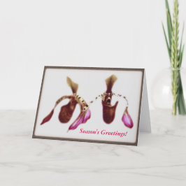 Cartão De Festividades Orquídea da flor do Natal