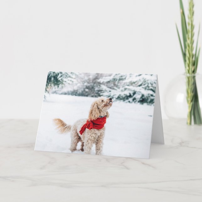 Cartão De Festividades Orquídea no fundo branco (Frente)