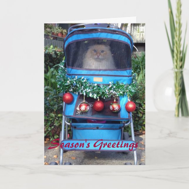 Cartão De Festividades Os cumprimentos da estação (Frente)