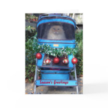 Os cumprimentos da estação