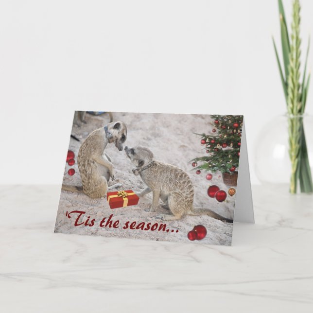 Cartão De Festividades Os cumprimentos da estação de Zaphod e de Monkulus (Frente)