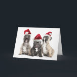 Cartão De Festividades Os filhotes de cachorro do buldogue francês cantam<br><div class="desc">Os filhotes de cachorro do buldogue francês cantam vestir chapéus do papai noel</div>