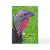 Os melhores votos no dia da turquia, uma bela refl