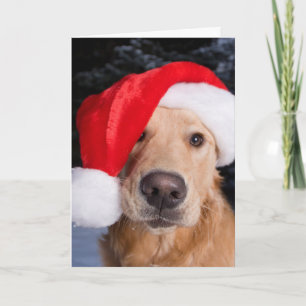 Cartão De Festividades Ouro em Santa Hat