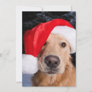Cartão De Festividades Ouro em Santa Hat