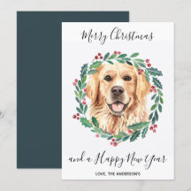 Ouro Retriever Cachorro Elegante Feliz Natal