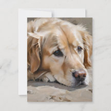 Ouro Retriever Dog F