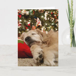 Cartão De Festividades Ouro Retriever Dormindo debaixo da Árvore de Natal