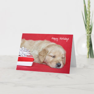 Cartão De Festividades Ouro Retriever Natal Puppy