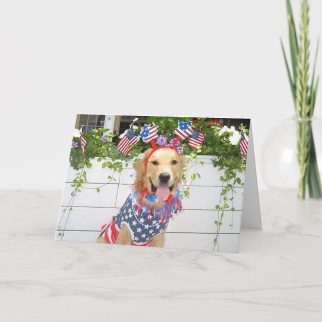 Cartão De Festividades Ouro Retriever Starry 4 de julho (Frente)