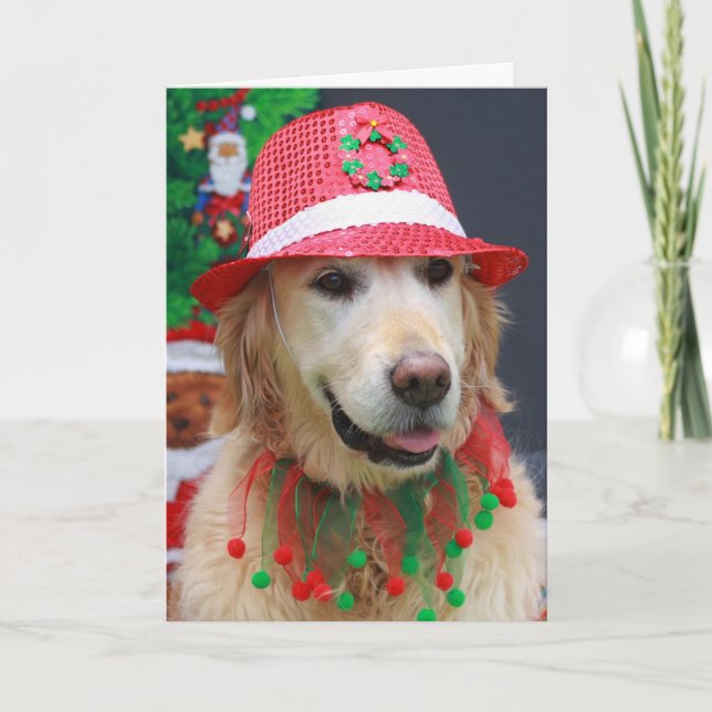 Cartão De Festividades Ouro Retriever vestindo um Chapéu Fedora de Natal (Frente)