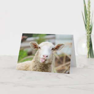 Cartão De Festividades Ovelhas mostram a língua
