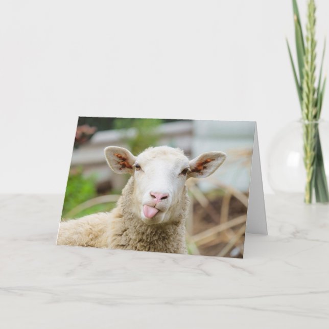 Cartão De Festividades Ovelhas mostram a língua (Frente)
