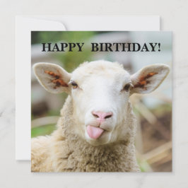 Cartão De Festividades Ovelhas mostram a língua