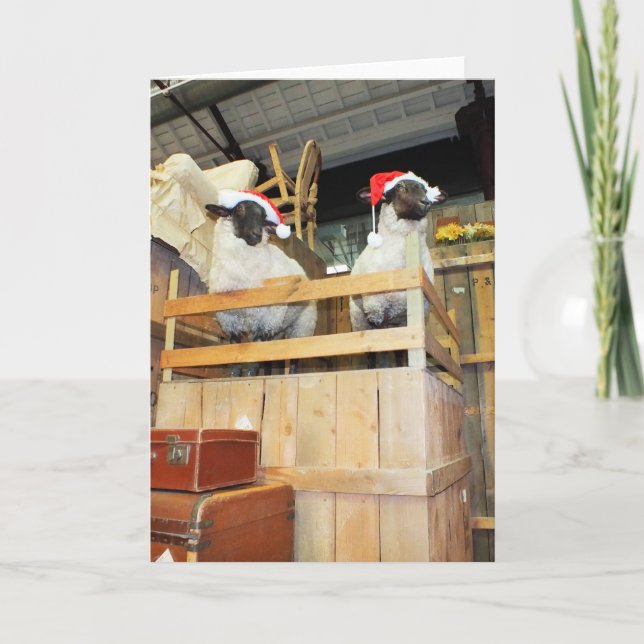 Cartão De Festividades Ovinos de Natal (Frente)