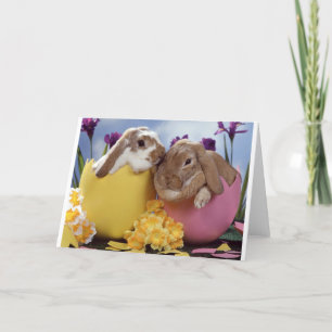 Cartão De Festividades Ovos de dentro de coelhinho de Páscoa bonitos