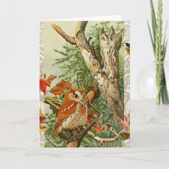 CARTÃO DE FESTIVIDADES OWLS ENTRE AS FOLHAS DE CICLO EM WODLAND (Frente)