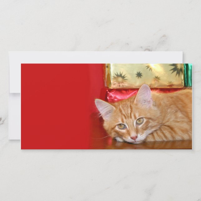 Cartão De Festividades paciência natalícia (Frente)