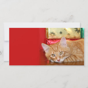 Cartão De Festividades paciência natalícia