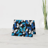 Padrão Escuro Sem Costura com Borboletas Azuis Mor