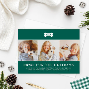 Cartão De Festividades Página inicial da foto de cachorro verde da Xadrez