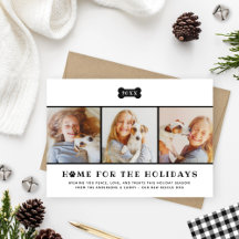 Página inicial para fotos de cães Xadrezes negros 