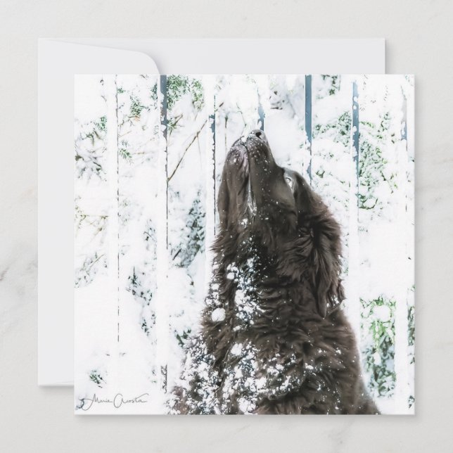 Cartão De Festividades País das maravilhas do inverno (Frente)