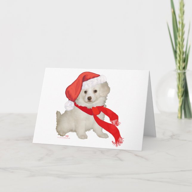 Cartão De Festividades Papai noel Auxiliar Puppy Poodle / Bichon Mix (Frente)