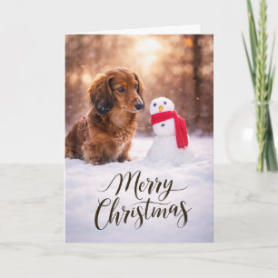Cartão De Festividades Papai Noel Dachshund na Neve