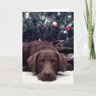 Cartão De Festividades Papai noel de espera