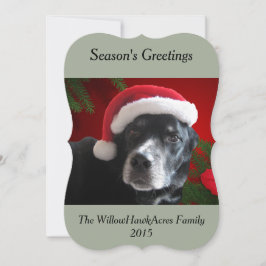 Cartão De Festividades Papai noel Dog-Lab/Rottweiler com fundo do feriado