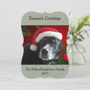 Cartão De Festividades Papai noel Dog-Lab/Rottweiler com fundo do feriado