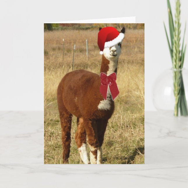 Cartão De Festividades Papais noeis Alpaca (Frente)