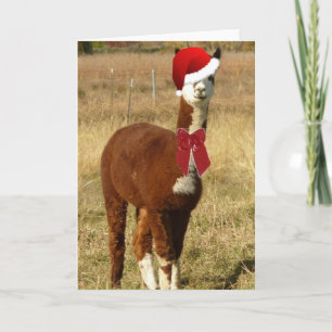 Cartão De Festividades Papais noeis Alpaca
