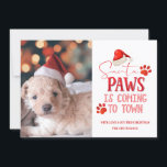 Cartão De Festividades Papais noeis - As patas estão chegando à foto de N<br><div class="desc">Papais noeis Paws está chegando à Cidade natalícia Fotografia e Tipografia com Diversão de Férias, Impressões de Santa Hat, Cachorro ou Gato, e texto do roteiro de tendências em Vermelho Brilhante. Uma citação engraçada e fofa para os Pet-Lovers de Natal, feriados e época de inverno. Divertido para toda a família!...</div>
