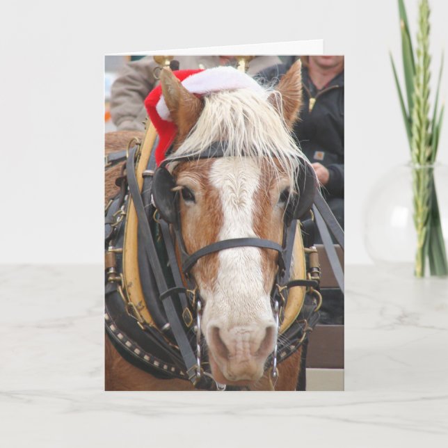 Cartão De Festividades Papais noeis belgas (Frente)