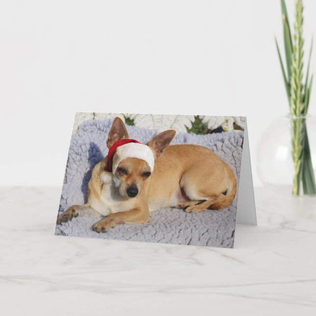 Cartão De Festividades Papais noeis Chihuahua (Frente)